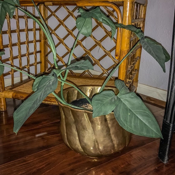 ✨SOLD✨Two Vintage Matching Brass Planters - Picture 6 of 6